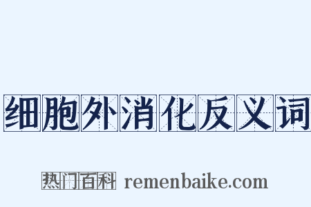 细胞外消化反义词是什么意思的图片